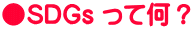 ��SDGs ���ĉ��H